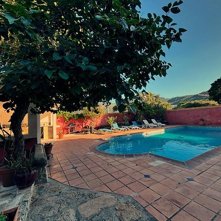 Residence Antonia Appartements Avec Piscine Commune - Centre Ville Calvi Calvi (Corsica) Exterior foto