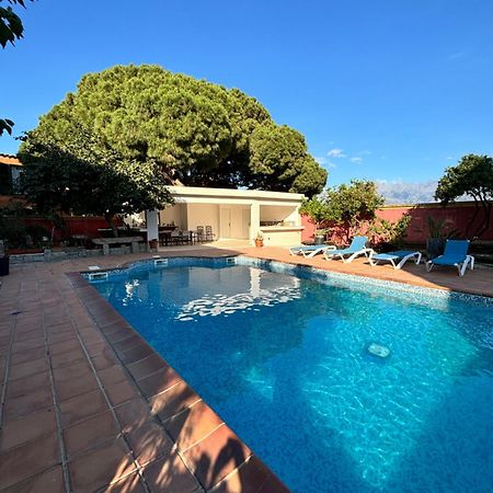 Residence Antonia Appartements Avec Piscine Commune - Centre Ville Calvi Calvi (Corsica) Exterior foto
