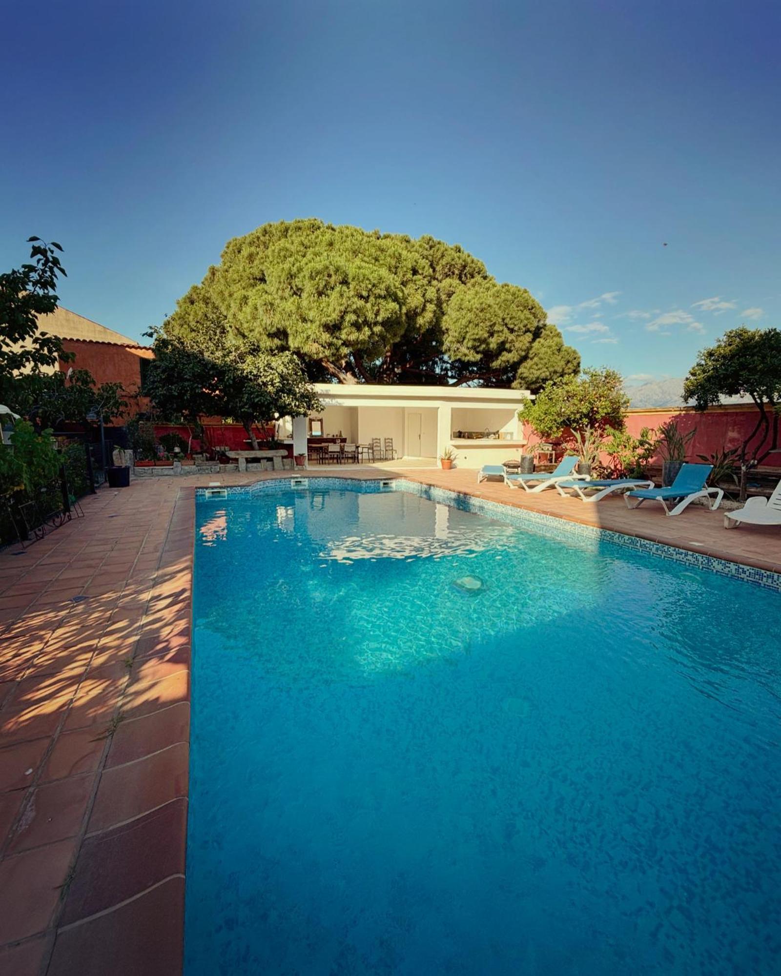 Residence Antonia Appartements Avec Piscine Commune - Centre Ville Calvi Calvi (Corsica) Exterior foto
