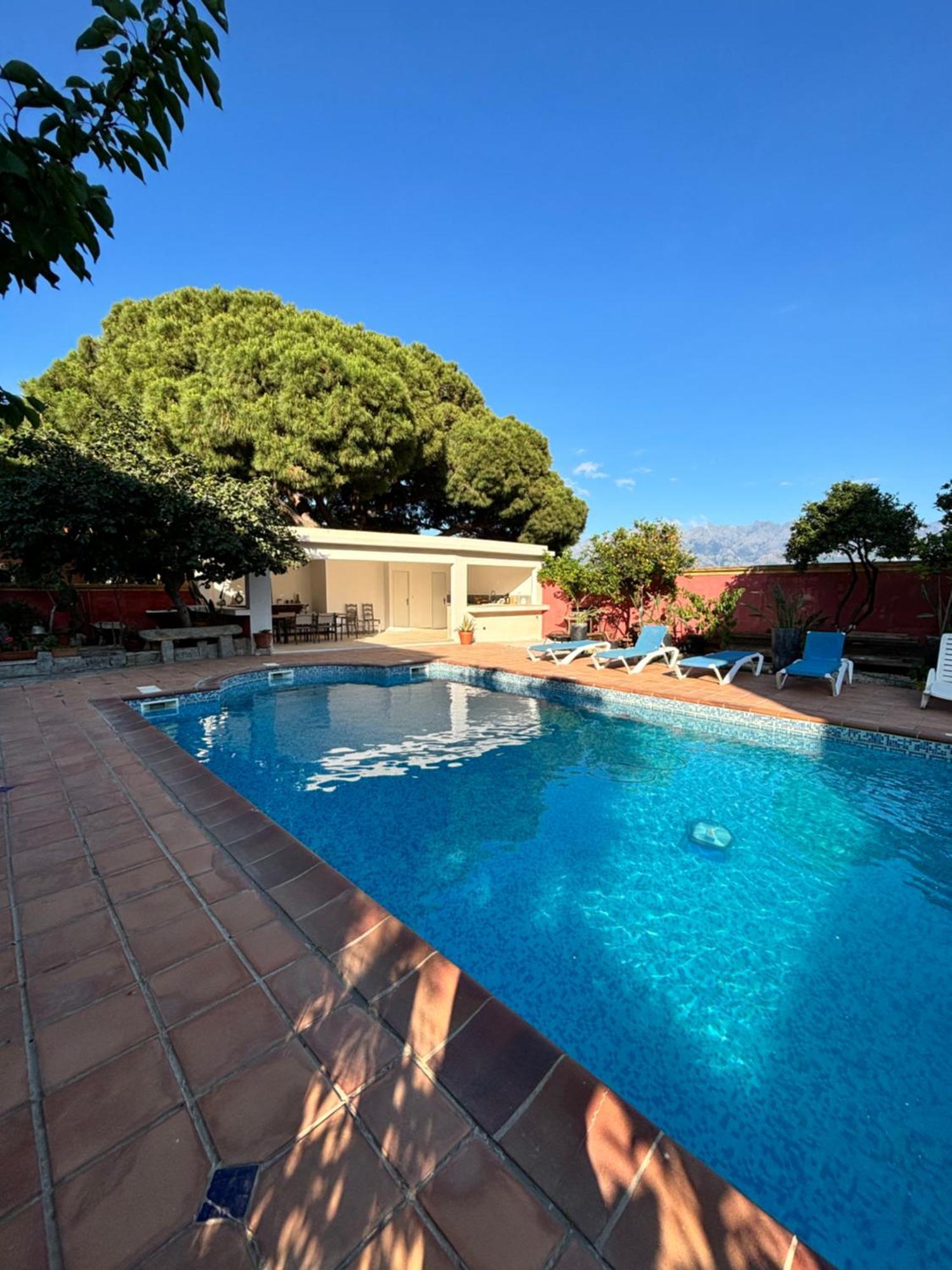 Residence Antonia Appartements Avec Piscine Commune - Centre Ville Calvi Calvi (Corsica) Exterior foto