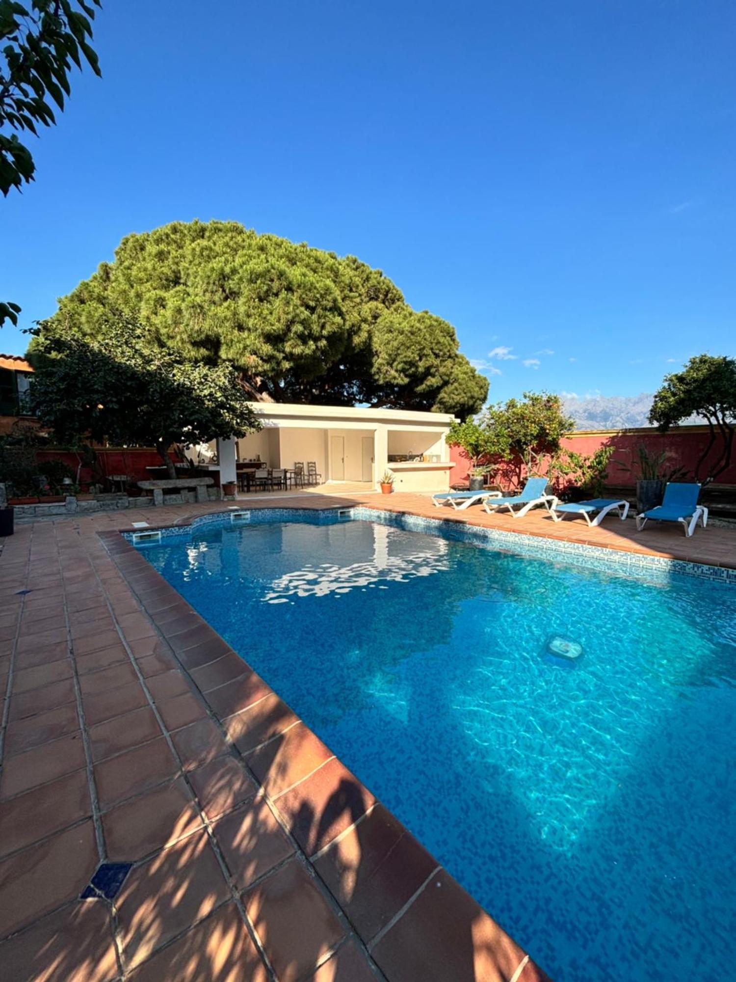 Residence Antonia Appartements Avec Piscine Commune - Centre Ville Calvi Calvi (Corsica) Exterior foto